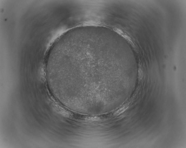 X0000067941454200604201353