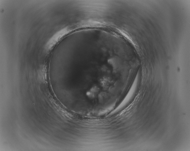 X0000067941455200604201353