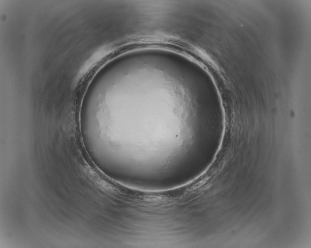 X0000067941456200604201353