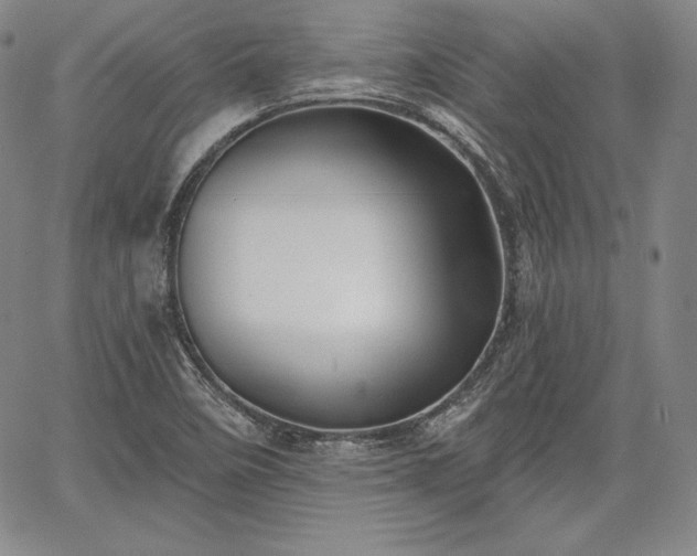 X0000067941458200604201353