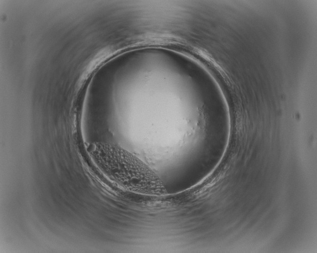 X0000067941459200604201353