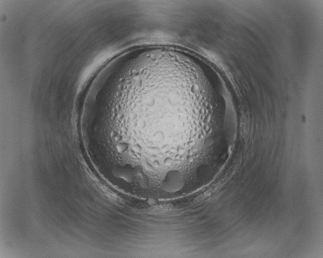 X0000067941464200604201353