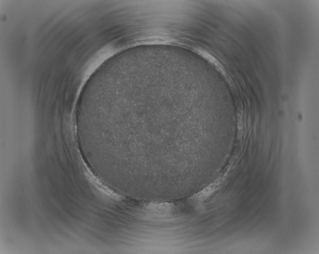 X0000067941466200604201353
