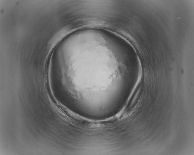 X0000067941467200604201353