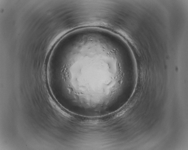 X0000067941468200604201353