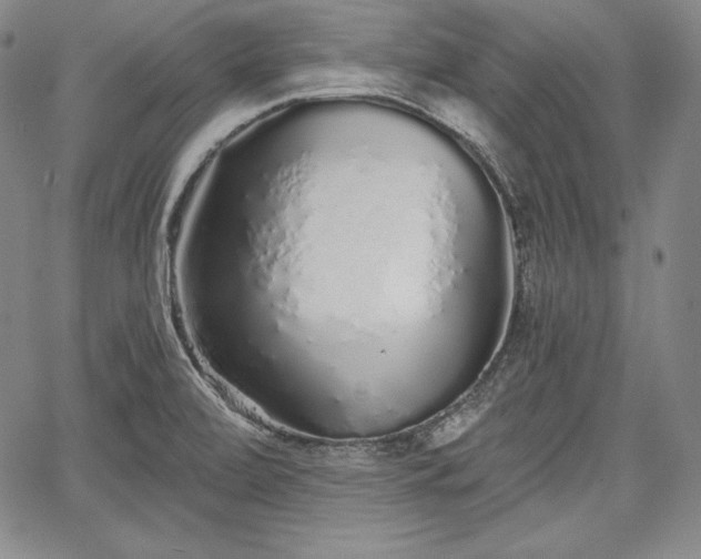 X0000067941472200604201353