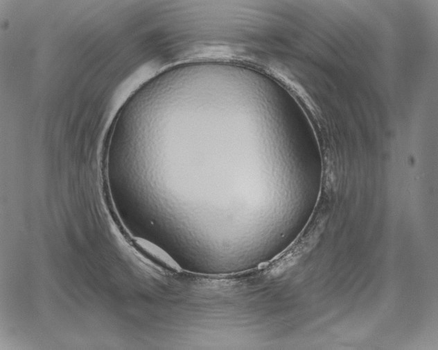 X0000067941475200604201353