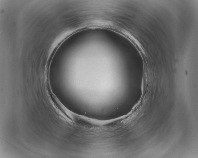 X0000067941477200604201353