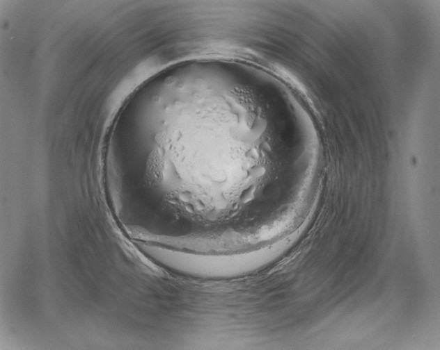 X0000067941480200604201353