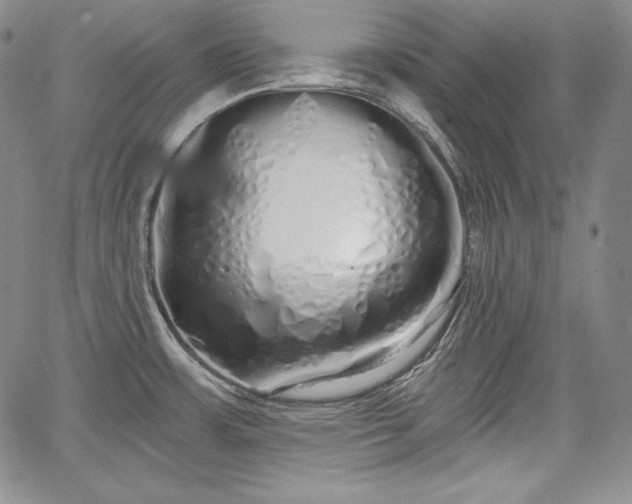 X0000067941483200604201353