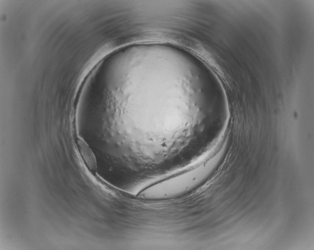 X0000067941484200604201353