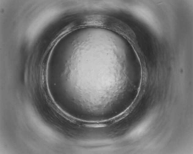 X0000067941487200604201353