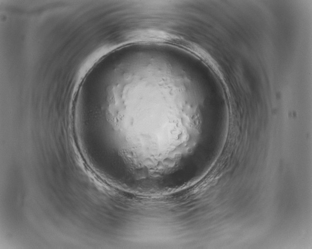 X0000067941488200604201353