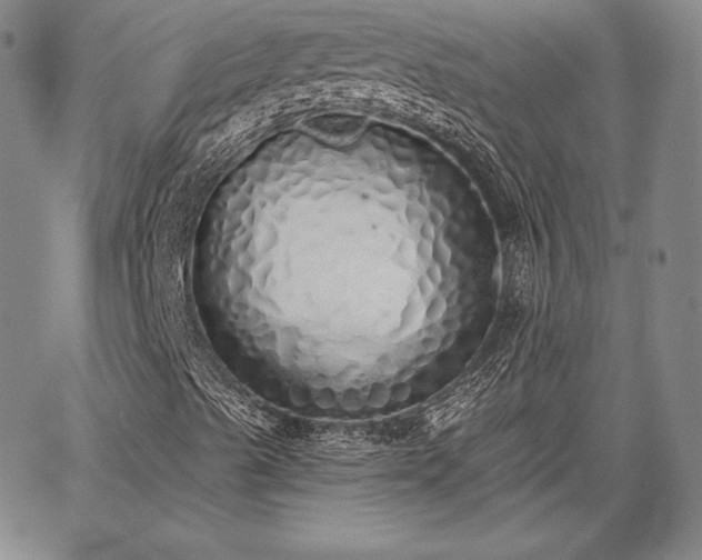 X0000067941489200604201352