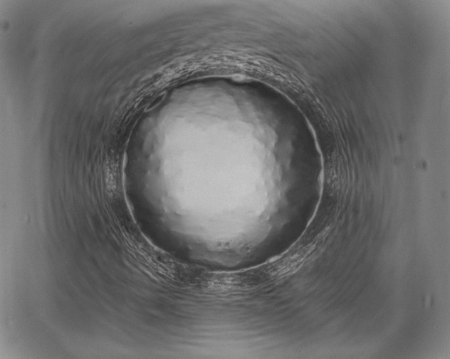 X0000067941490200604201352