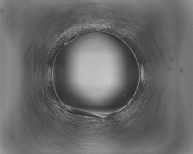 X0000067941492200604201352