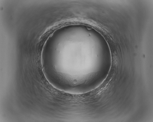 X0000067941494200604201352
