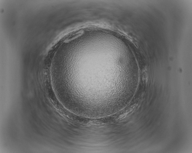 X0000067941496200604201352