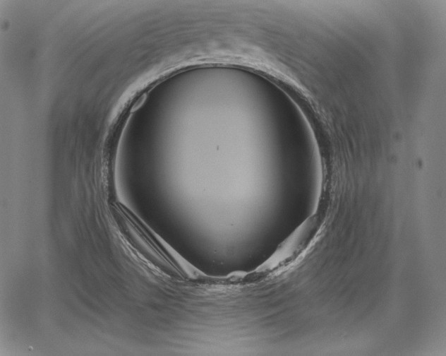 X0000067941506200604201352
