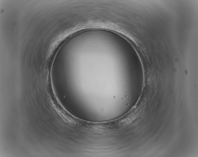 X0000067941507200604201352