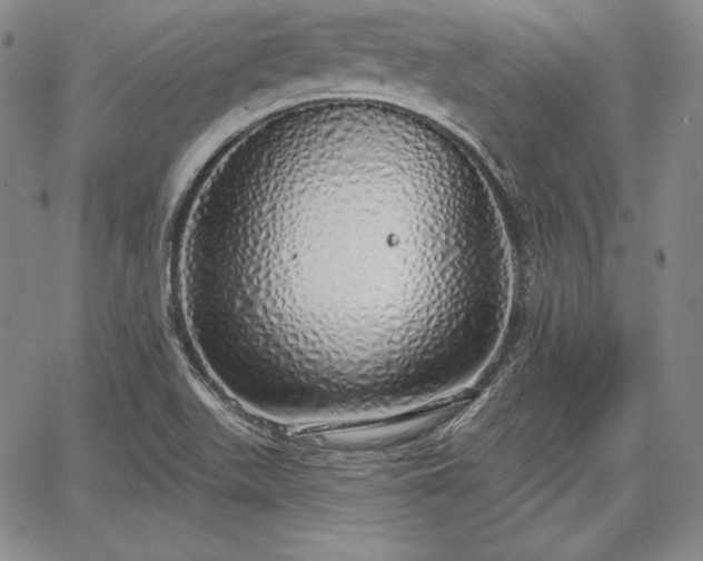 X0000067941511200604201352