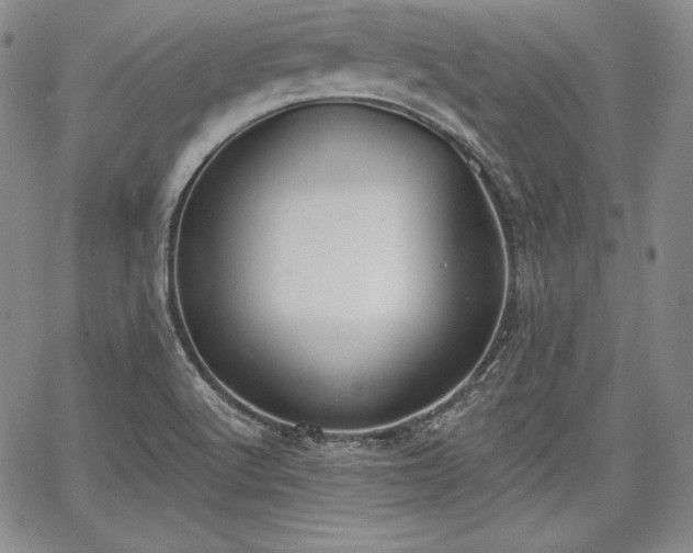 X0000067941512200604201352
