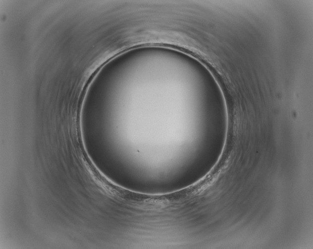 X0000067941513200604201352