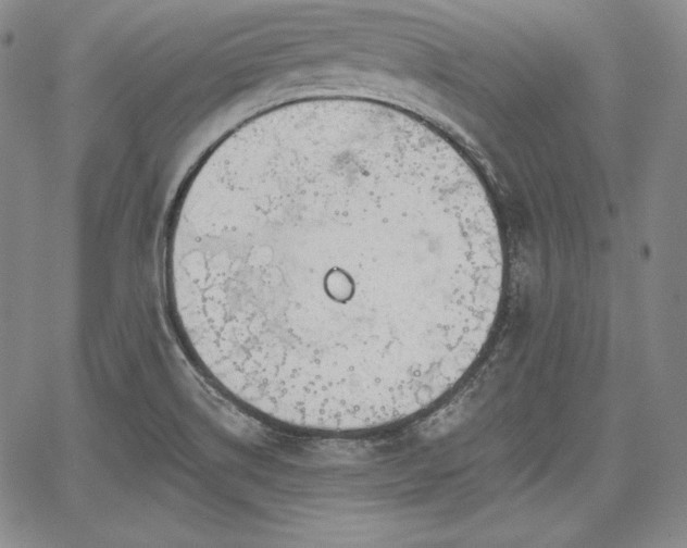 X0000067941514200604201352