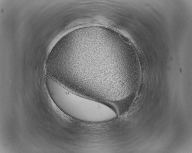 X0000067941524200604201353