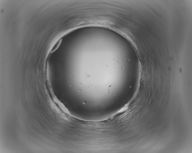 X0000067941532200604201353