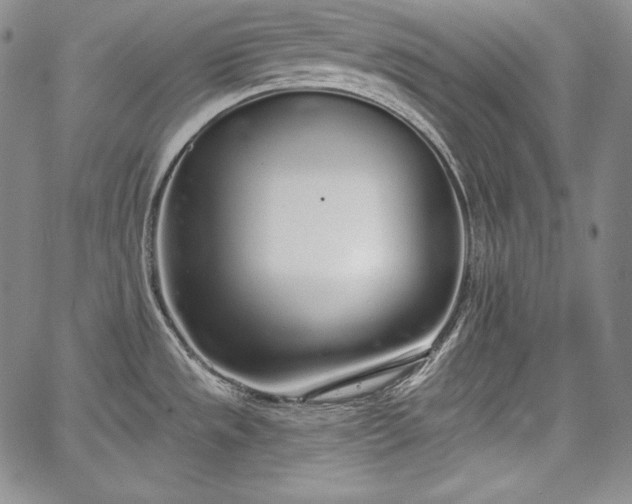 X0000067941533200604201353