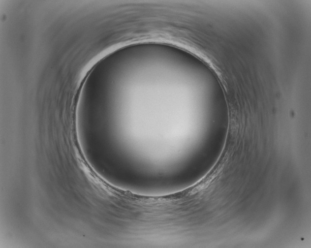 X0000067941534200604201353