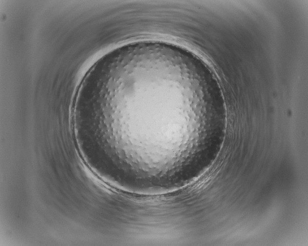 X0000067941535200604201353