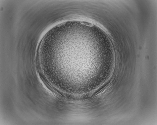 X0000067941536200604201353