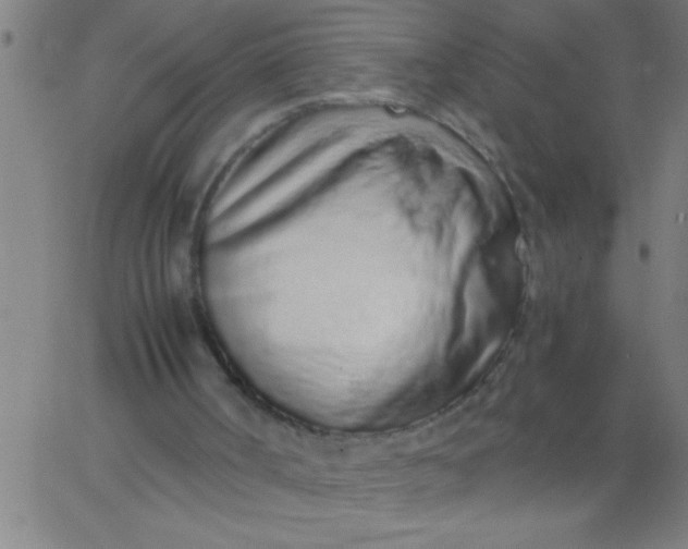 X0000067940002200604272046