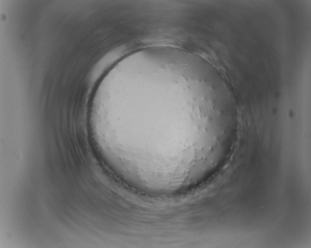 X0000067940006200604272046