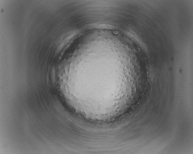X0000067940014200604272046