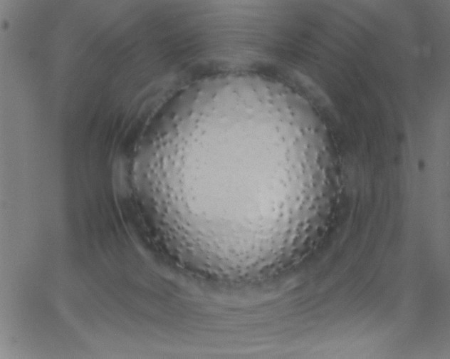 X0000067940026200604272045