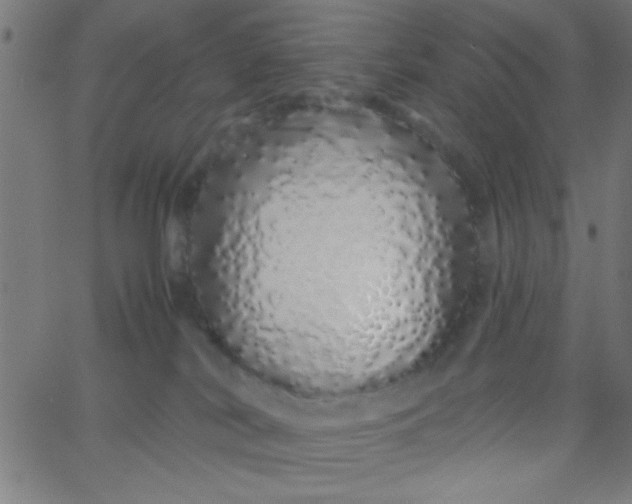 X0000067940038200604272045