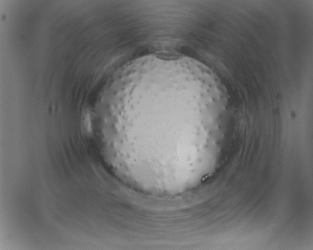 X0000067940042200604272045