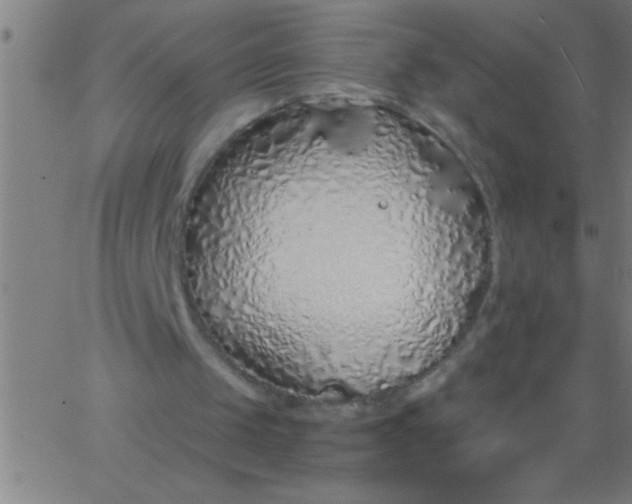 X0000067940049200604272044