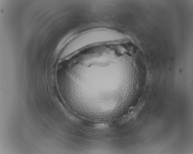 X0000067940053200604272044