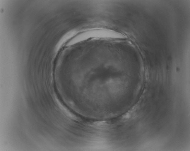 X0000067940054200604272044