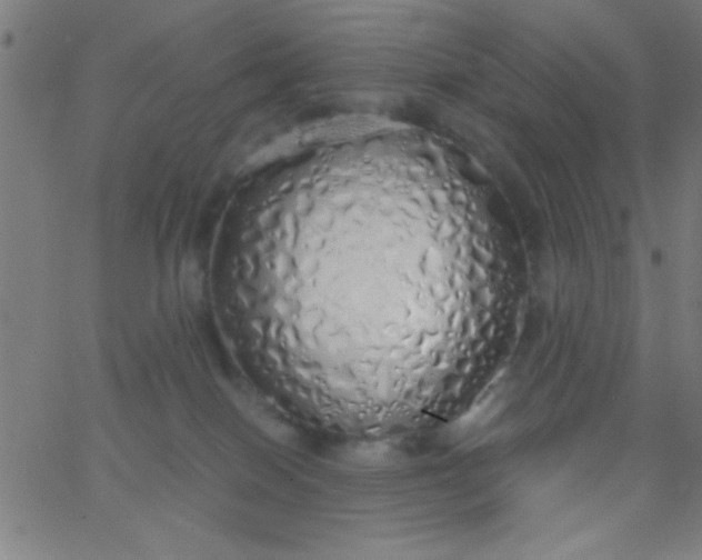 X0000067940086200604272045