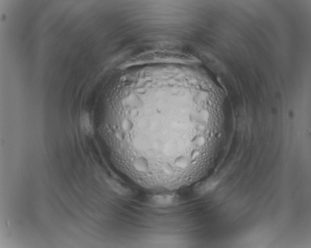 X0000067940089200604272045