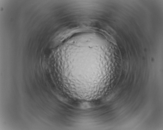 X0000067940091200604272045