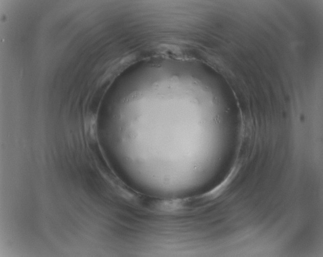 X0000067940094200604272045