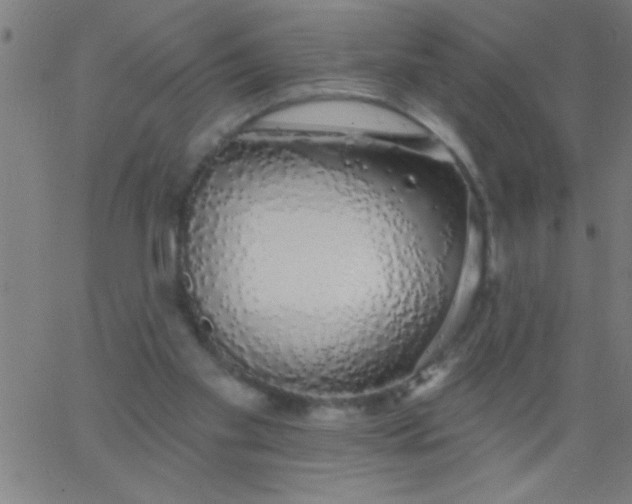 X0000067940109200604272044