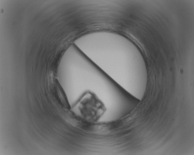 X0000067940117200604272044