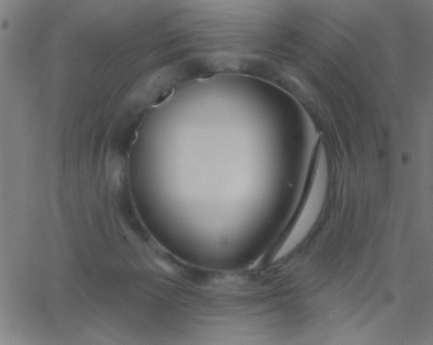 X0000067940125200604272044